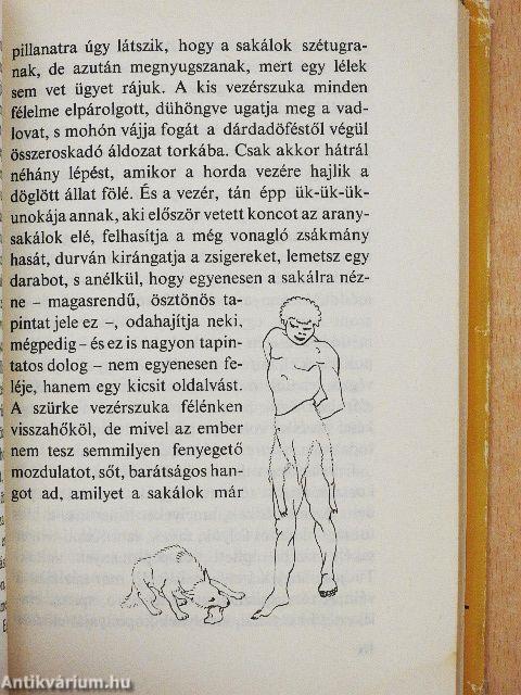 Ember és kutya