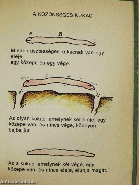 Kis kukac könyv