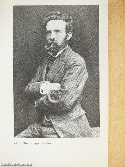 Musil világa