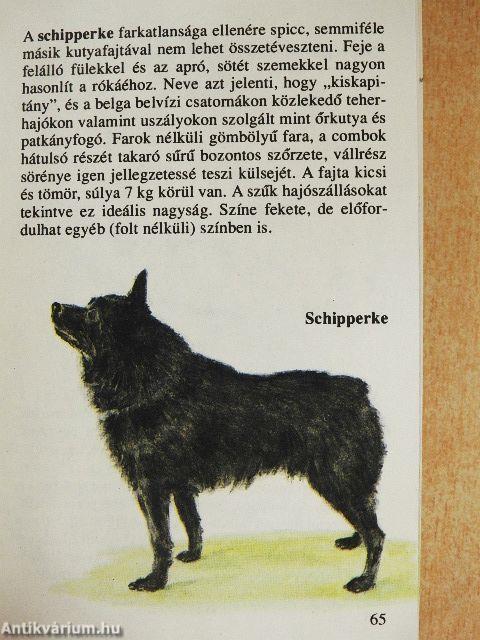 Kutyák