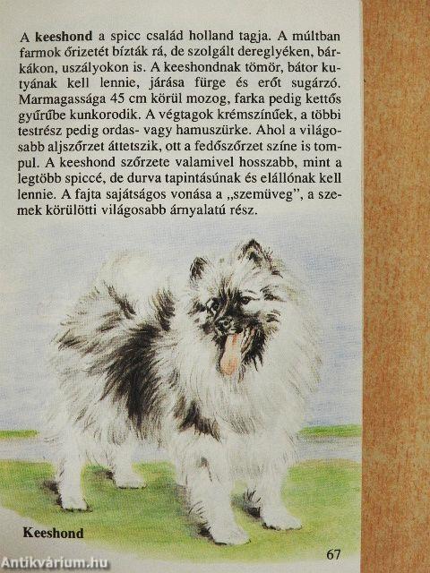 Kutyák