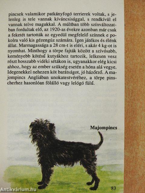 Kutyák