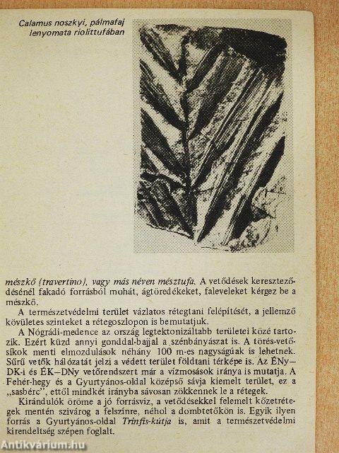 Ipolytarnóc - Ősmaradványok