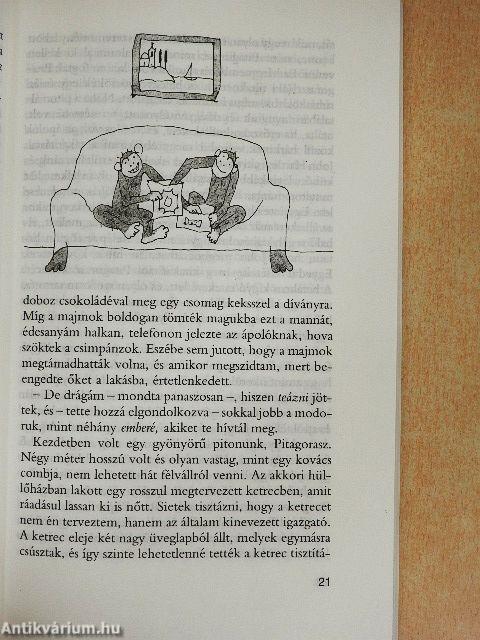 A Bárka születésnapja