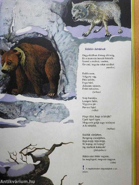 Iskolába készülök