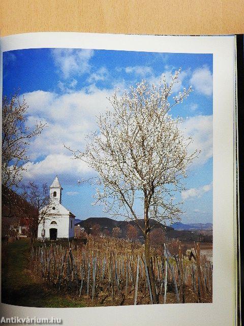 Balaton