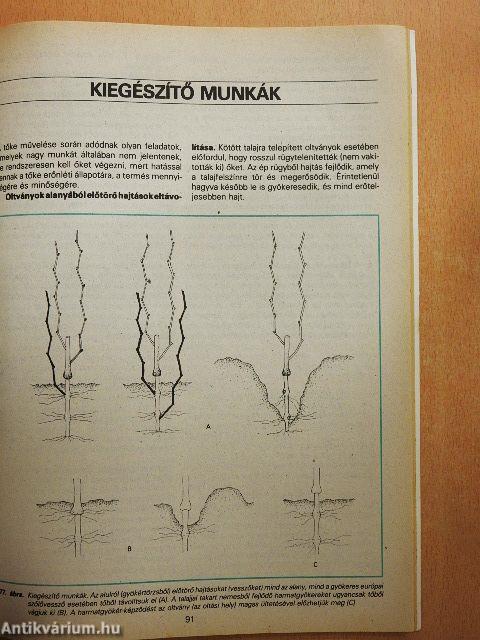 A metszés ábécéje