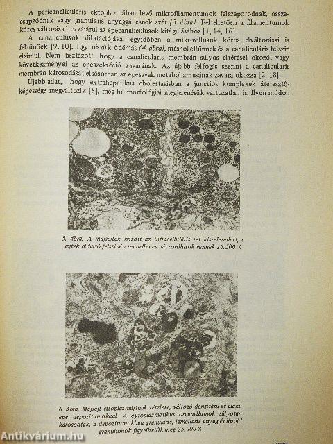 Orvosképzés 1985. január-december