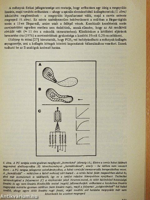 Orvosképzés 1985. január-december