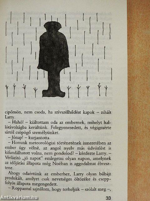 A piknik és egyéb kalamajkák