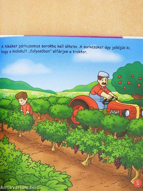 A szőlőskert termékei