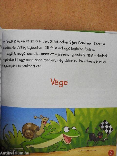 A csiga és a földigiliszta