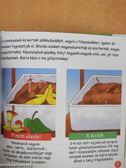 A csiga és a földigiliszta