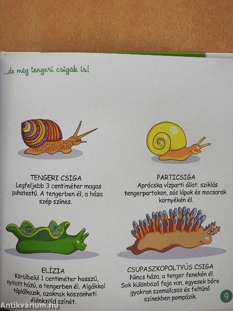 A csiga és a földigiliszta