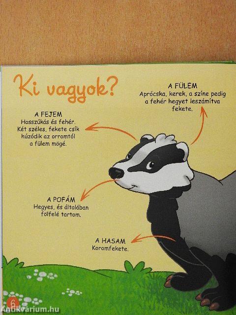 A menyét, a borz és a róka