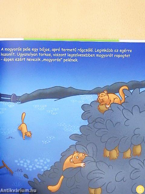 Éjszakai állatok