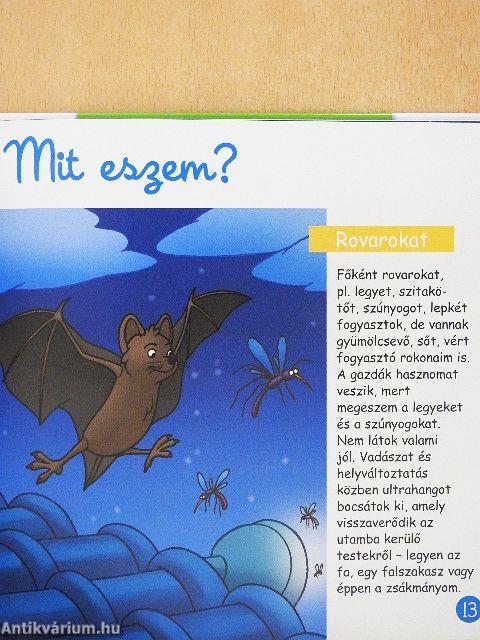 Éjszakai állatok
