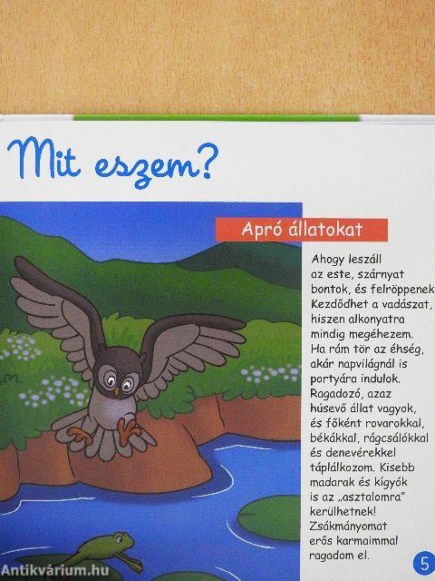 Éjszakai állatok