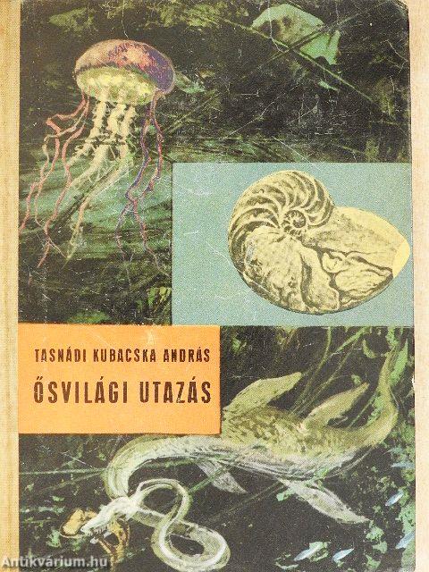 Ősvilági utazás
