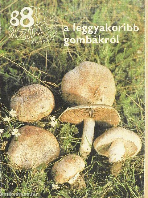 88 színes oldal a leggyakoribb gombákról