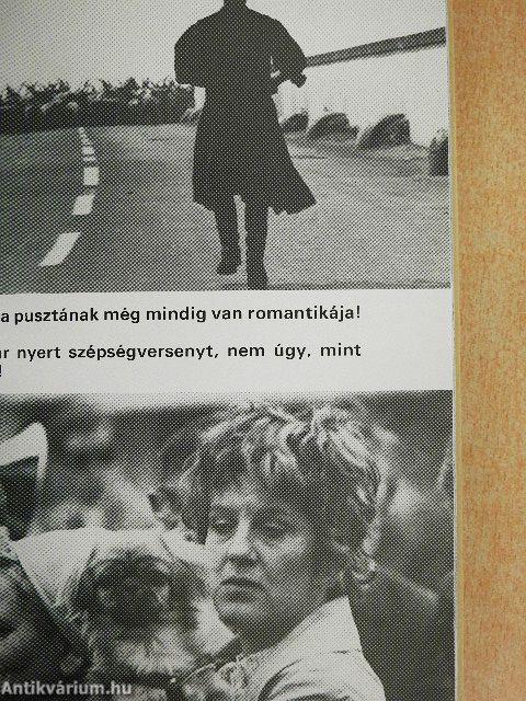 Antall József - Kései memoár