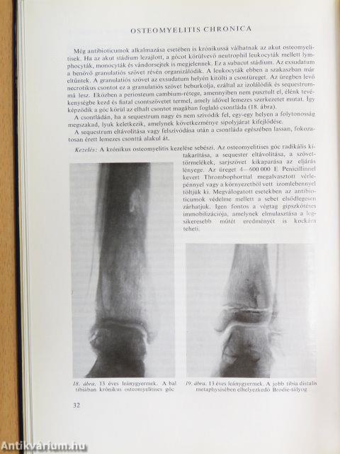 Az orthopaedia tankönyve