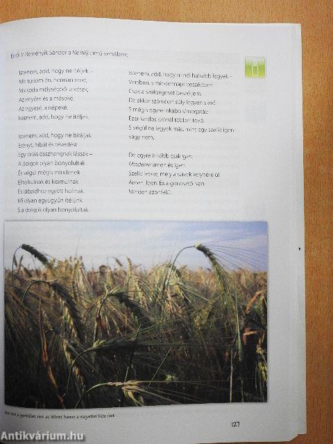 A Könyvek Könyve