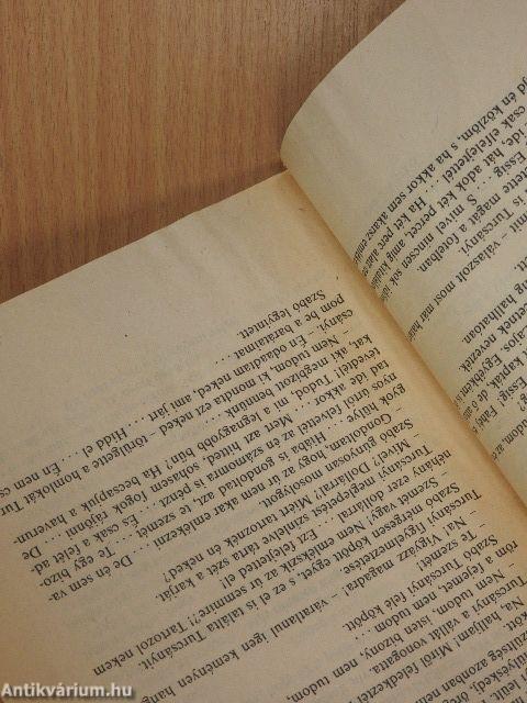 Hód és a rémült kísértet