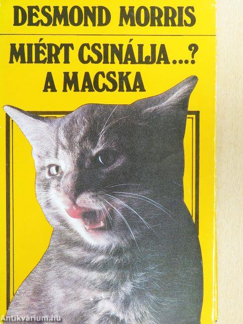 Miért csinálja...? A macska