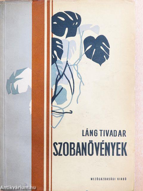 Szobanövények