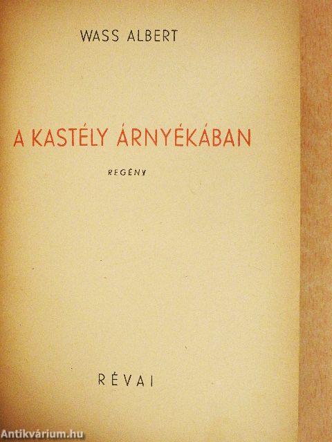 A kastély árnyékában