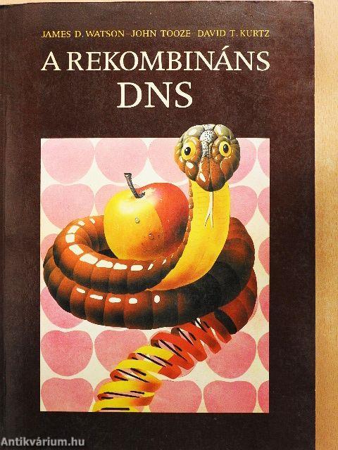 A rekombináns DNS