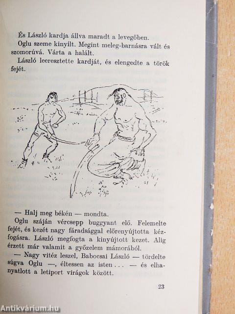 A koppányi aga testamentuma