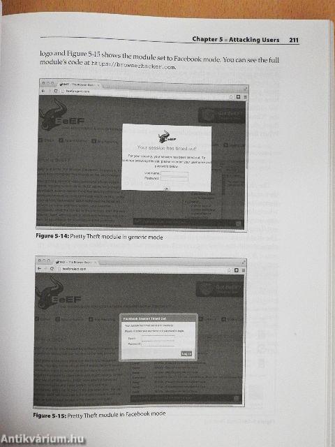 The Browser Hacker's Handbook