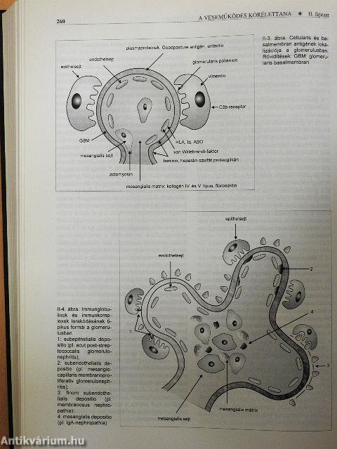 Nephrologia