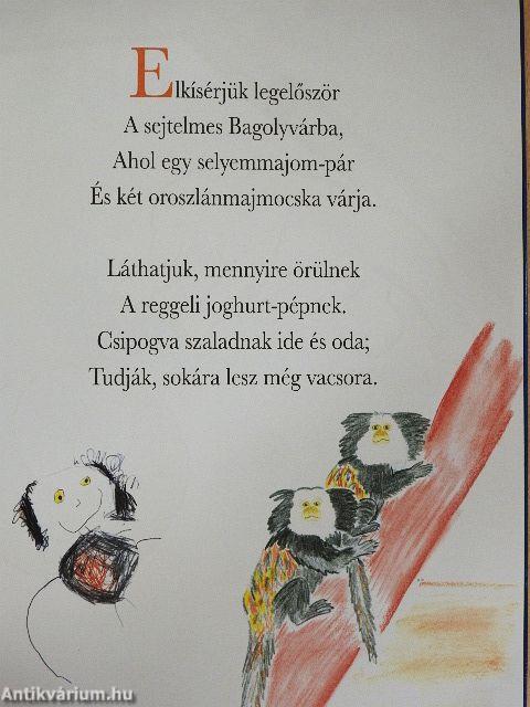 Téli séta az Állatkertben