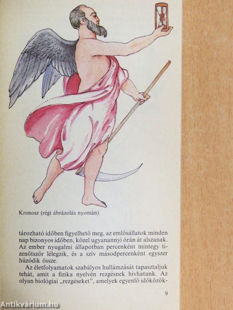 A biológiai óra