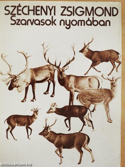 Szarvasok nyomában