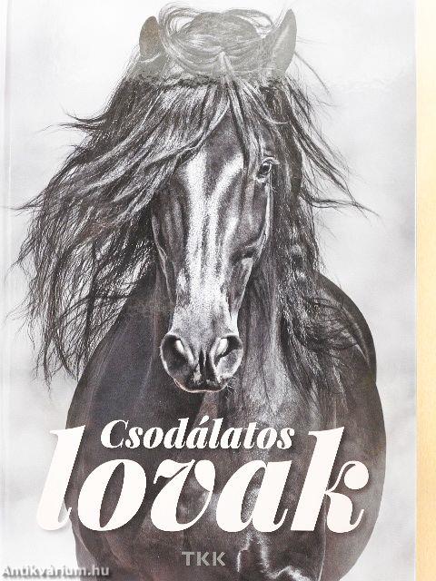 Csodálatos lovak