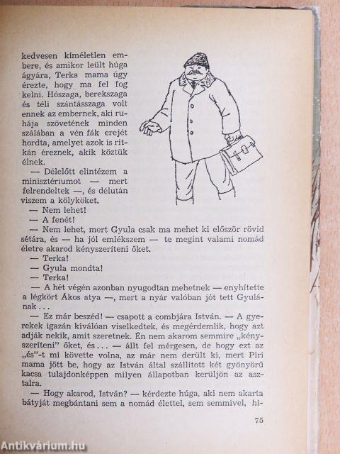 Téli berek