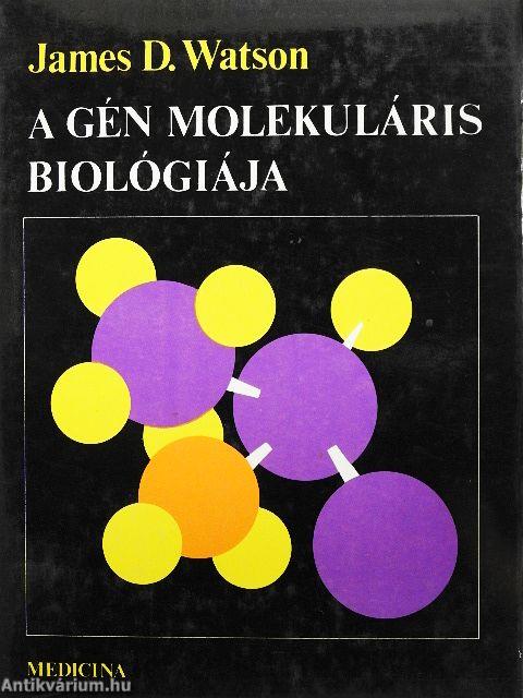 A gén molekuláris biológiája
