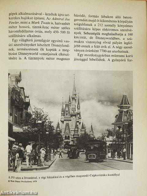 A gyermekvilág csodái