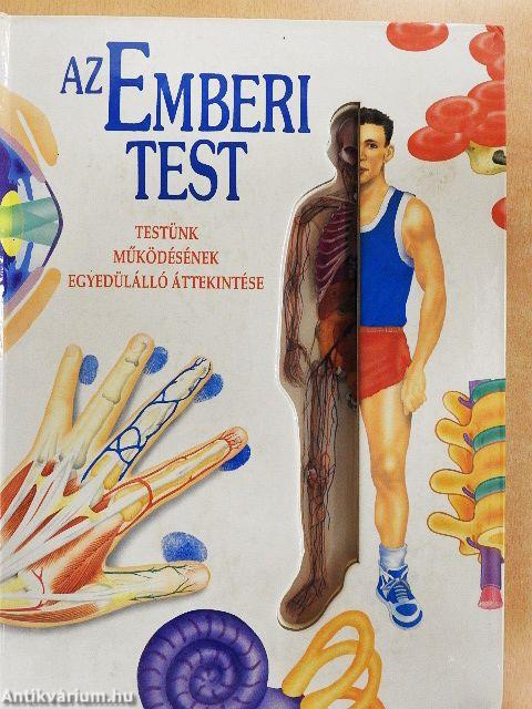 Az emberi test