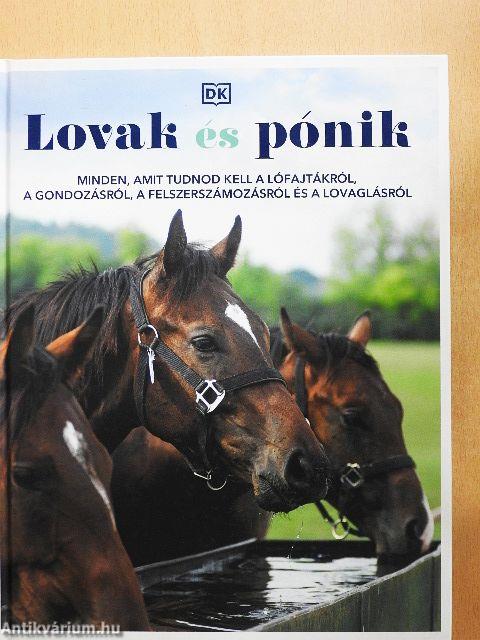 Lovak és pónik