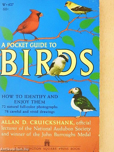 A Pocket Guide to Birds