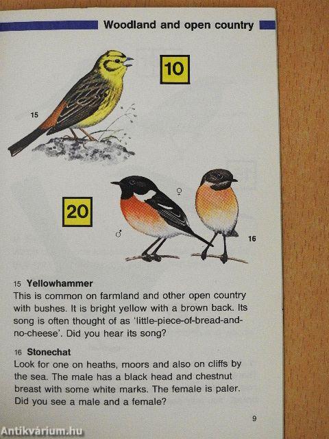 Find 50 Birds