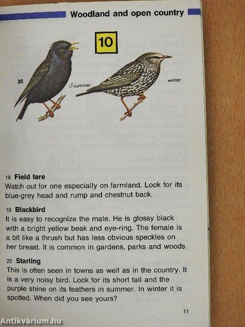 Find 50 Birds
