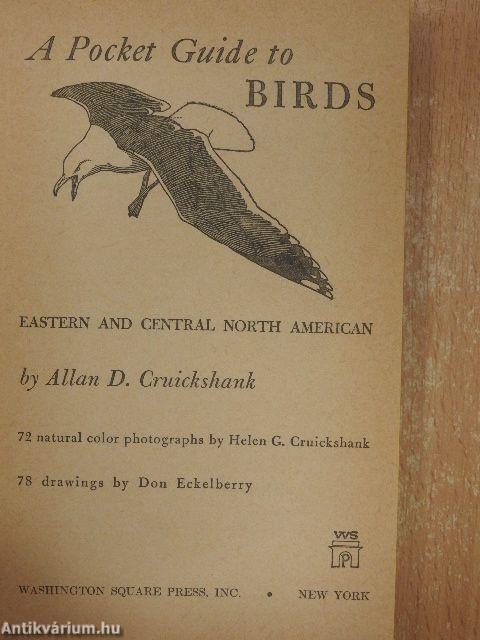 A Pocket Guide to Birds