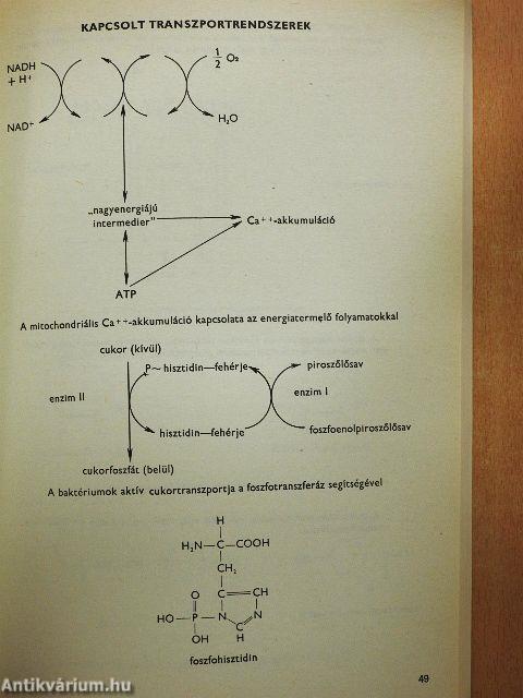 Membránbiokémia, immunbiokémia