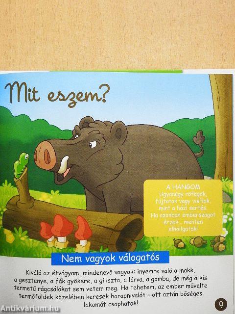 Állatok a szántóföldön